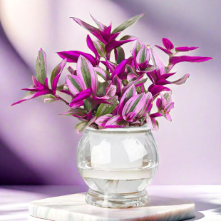 ���m�ͮ���Y����ֲ����Bˮ�����^�҃ȿ͏d�k�����^�~�^������