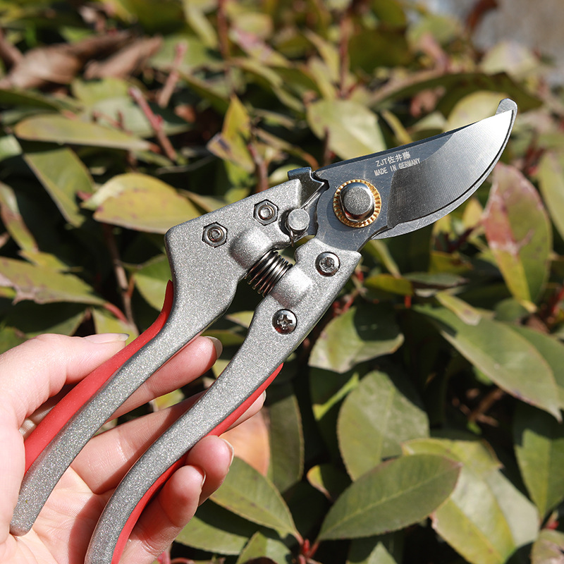 Fruit tree shears, pruning scissors, labor-saving pruning scissors, branch and flower branch gardening shears, flower shears, garden tools wholesale