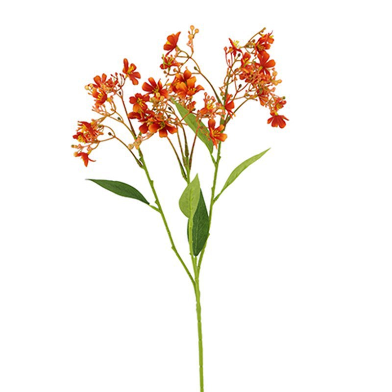 8e876c2647acfe4237889825997653