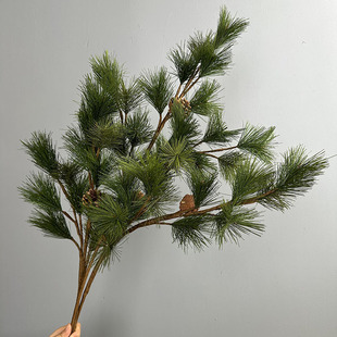 �����ɘ�֦��֦��������°���֦�������ɰؘ�֦�ɘ��~ӭ����ֲ��