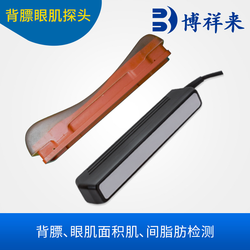 进口猪牛羊背膘眼肌探头 安格斯牛肌内脂肪检测探头 128阵元18cm