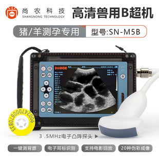 ���rM5ȫ�������ϫF��B���C���̽�^��ˮ�i��ţ�R�H�����ɫ����