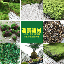 ���l��ȻҬ�z����̦�\ʯ�ӻ��������쾰ֲ�����С�����B�C�|��