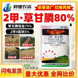 �GҰ�t��80%2��4���c�ݸ���@�}�ݸ��׳��ݠ�������Ʒ�rș���݄�