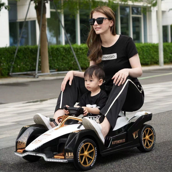 Chaowei, platinum engine, 12v, family style