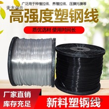 ������ߏ��ȴ��������Ĥ�����������K�W����Bֳ���Ѽ�����̫��