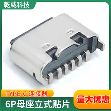 TYPE-C6PIN 母座立式贴片5.0/5.5 插座电子烟/车充/电动牙刷/耳机