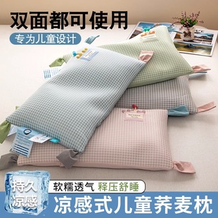 Summer Ice Silk Cooling Mat Buckwheat Pillow for Children and Students, Breathable and Cool Pillow Core 30*50cm, Removable and Washable