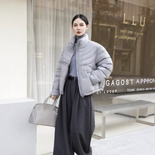 2026新款排骨羽绒服女秋冬时尚立领韩版保暖通勤百搭加厚外套短款