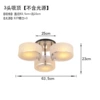 5-head ceiling without light source