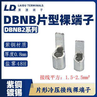 DBNB 2ϵ�� Ƭ�������/����/������/���~�Ӿ�����