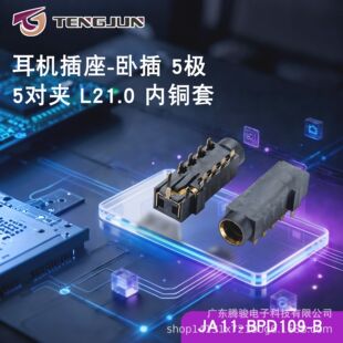 �v�E��Ӷ��C�����Բ�5�O5���AL21.0���~��JA11BPD109BTYPE-Cĸ��