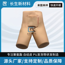 医教教学发泡 pu发泡聚氨酯发泡 PU人体器官 PU医疗仿真教学制品