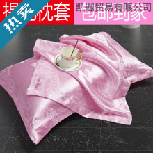 �Wʽؕ���Ứ����һ���b���ˆ��p��һֻ���^����о��48&times;74cm���]