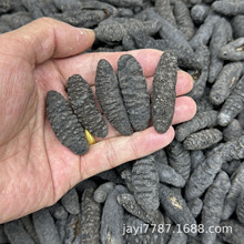 100头土耳其海参淡干无刺厚肉干货佛跳墙餐饮一德路海味滋补批发