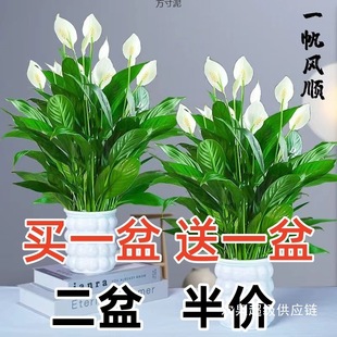 һ���L��������ܾGֲ������ˮ������҃ȿ͏d�[���ͺ������l