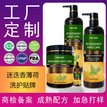 �ӹ������Ե���ϴ�lˮ�o�l�ذlĤ�h�͸�Rosemary Mint Shampoo