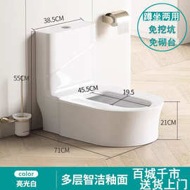 蹲坐两用马桶一体陶瓷蹲便器坐便马桶改蹲厕免砌台蹲坑免挖坑防臭
