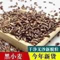 黑小麦黑麦米小麦米厂家批发黑麦25kg粗粮杂粮散装填充物枕头