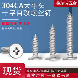 304不锈钢CA十字扁头自攻螺丝尖尾扁平头十字螺丝钉大全M2-M6