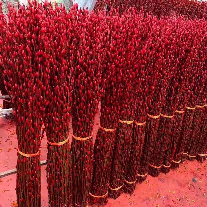 새해 축제 레드 [핫 스타일] - (바닥 1m 높이] 20개 무료 랜턴