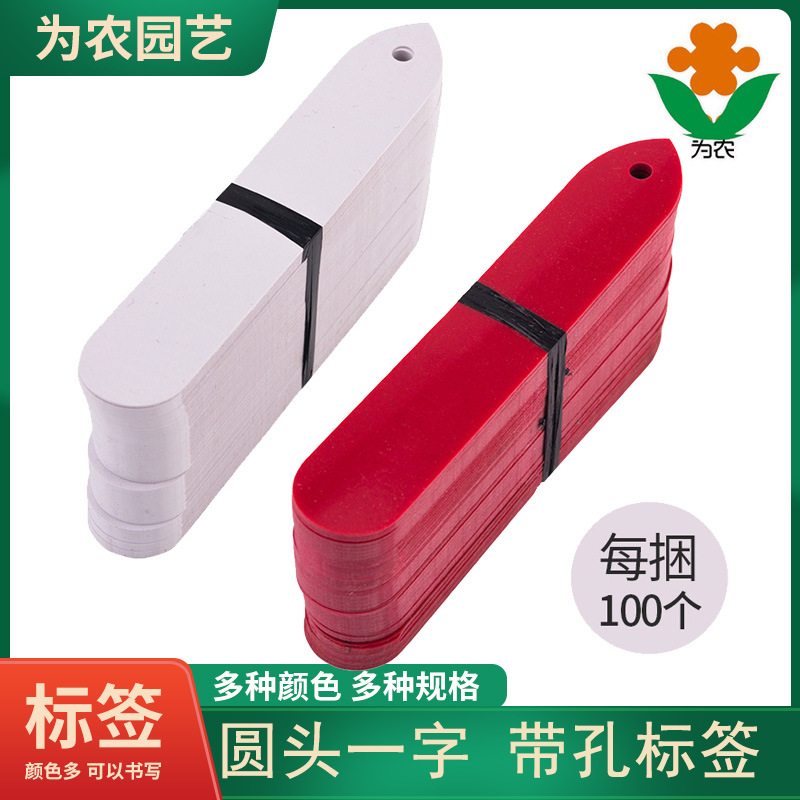 100张6色一字植物标签指示标签 10*2cm箭头款圆头带孔园艺标签|ms