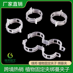 Melon clip tomato cucumber tie Vine clip tie branch clip hanging vine support Vine plastic plant fixed clip