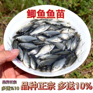 ���K���|��Ʒ�N�a�~���п�5̖�����a����a�߱��a�~��ˮ�Bֳ���~3