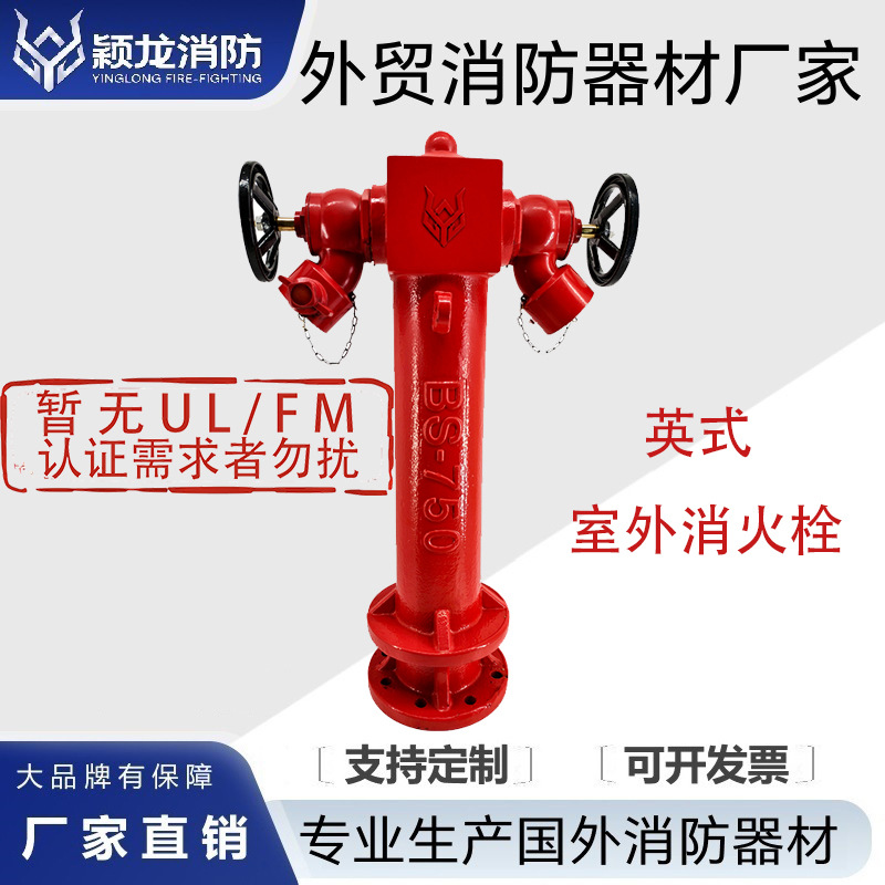 EN14384欧标消防栓BS750英式消防栓4寸DN100x65着陆阀BS336消火栓