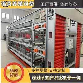 小层叠式蛋鸡笼 全自动化 厂家供应鸡笼子 自动化清粪捡蛋喂料 鸡