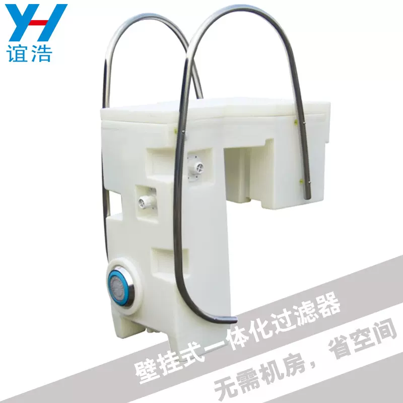 泳池过滤器壁挂式一体机水处理循环过滤消毒机水质净化器带扶手