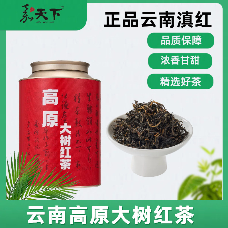 高原大树红茶高档自己喝特级养胃浓香型散装500g罐装（送礼品袋）
