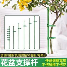 花架子蝴蝶兰支架绣球支撑杆金钱树龟背竹月季爬藤植物固定防倒伏