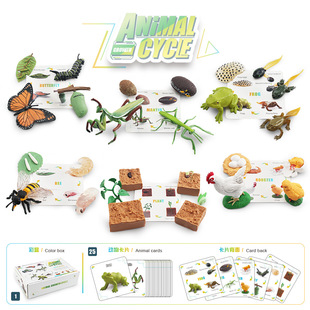 �羳��ͯ�J֪������L���ڲʺ����bֲ���۷�������u�������ģ��