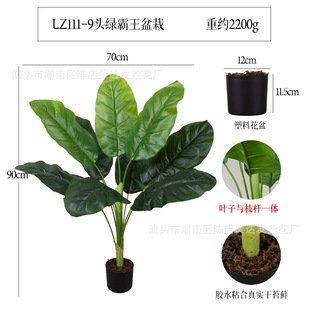 �G����������� �羳�����ֲ���������ͼ��辰�Ҿ��b���ؔ[��