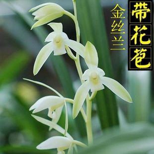 �m���玧���������ͽ��mī�m���m�����ļ��mֲ�����F�m��