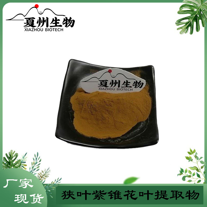 狭叶紫锥花叶提取物 10/20/30:1 夏州生物 优质原料 欢迎咨询