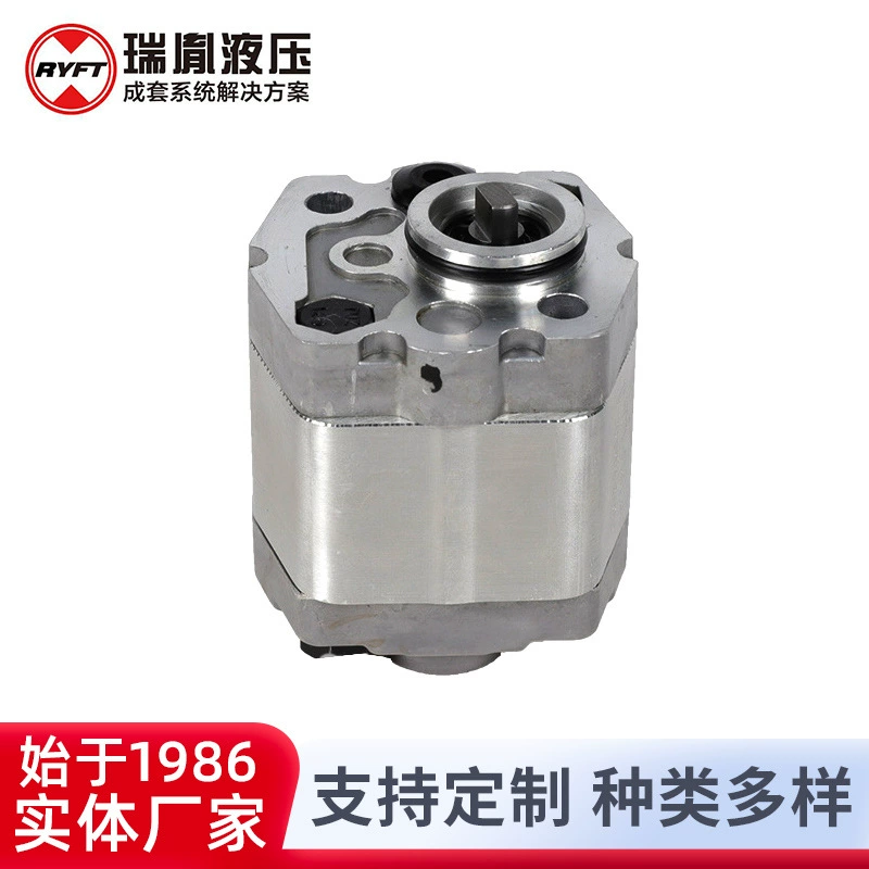 Производители высокого объема Ruizi напрямую поставляют гидравлические шестеренные насосы