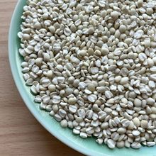 ��� �F�� ޲���� ����s�Z ��؛ ɢ�b ��� 500��