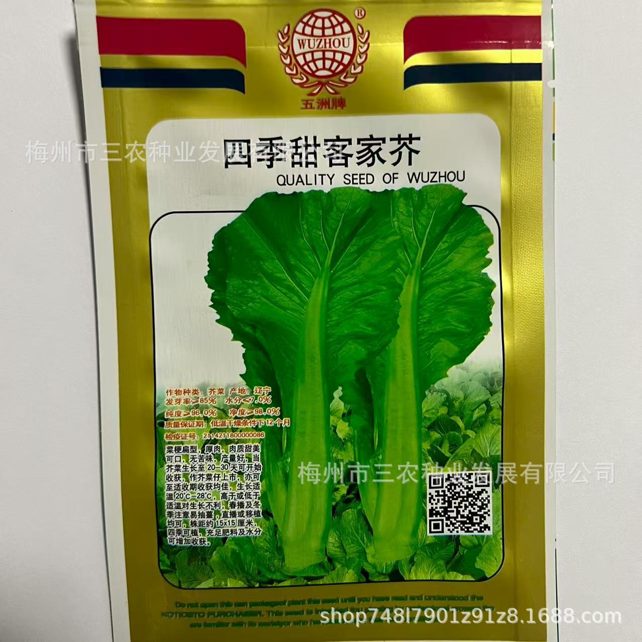 五洲牌四季甜客家芥菜种籽菜园院子种植蔬菜种子电商批发厂家直发