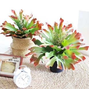 ���ާ�J�C����ֲ��ʯɏ�̈����晻���Ꭷ���b[��ɳĮ¹��