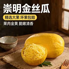 上海崇明岛金丝瓜新鲜角瓜搅瓜绞瓜黄金瓜角瓜绞瓜面条瓜鱼翅瓜