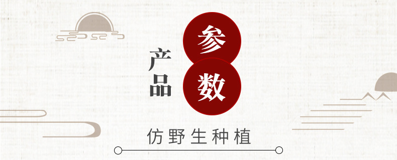 Shi Hu Feng Dou (Dendrobium officinale) — 4-Year Huoshan Tiepi Dried Stems, Food Herb overview