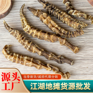 ���l��ϵ؅� �֗l�x�݅� ��ș�ĸ�؛�Ҝ����ݾ����ܽ����ؔ�؛Դ