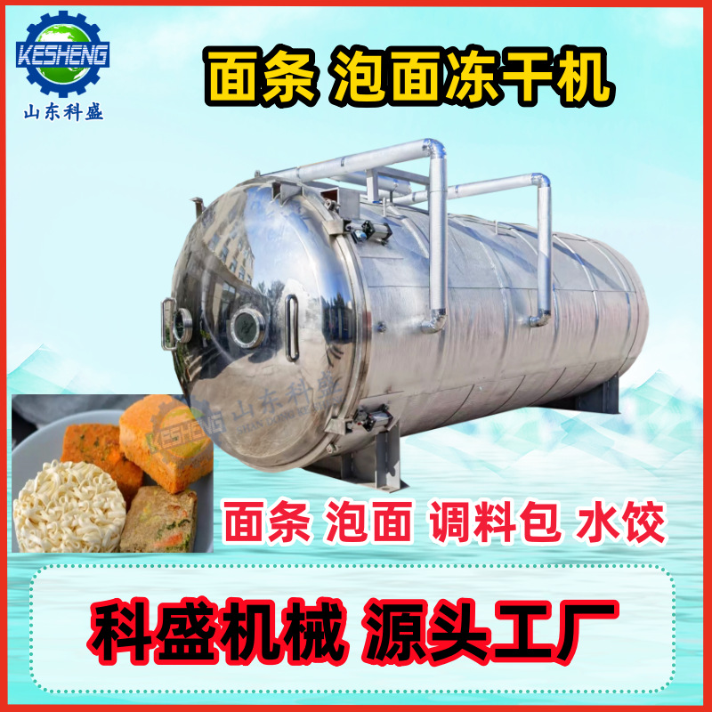 泡面冻干机 调料包面条水饺方便面真空冻干机 农产品加工设备