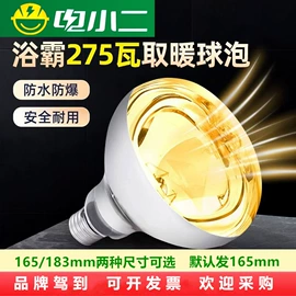 其他LED光源;LED吸顶灯;LED球泡灯