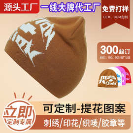 韩版冬季帽子腈纶字母绣花女百搭显脸小女款针织绣花帽毛线帽定制