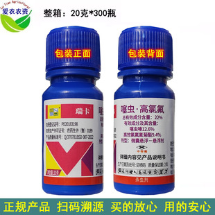 20�� �� ���x���ȷ� ���x�����ȷ� �rș��С�G�~�s���x��