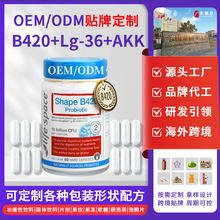 跨境双歧杆菌B420胶囊150亿益生菌硬胶囊源头工厂格氏乳杆菌Lg-36