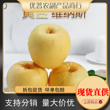 ɽ|̨S{˹SOr𮔼ˮ͸ʿaһ